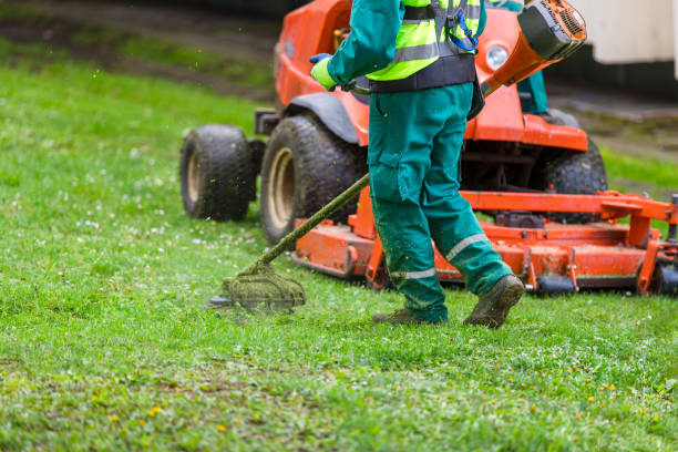 lawn care